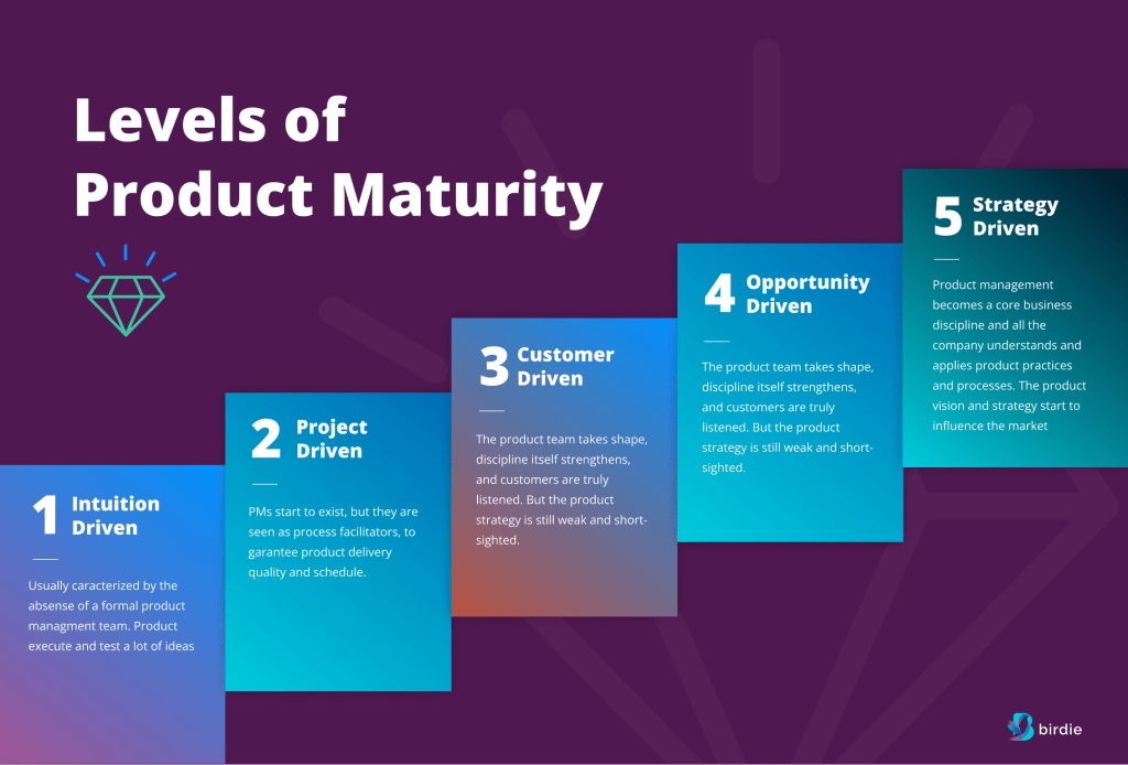the five levels of product management maturity